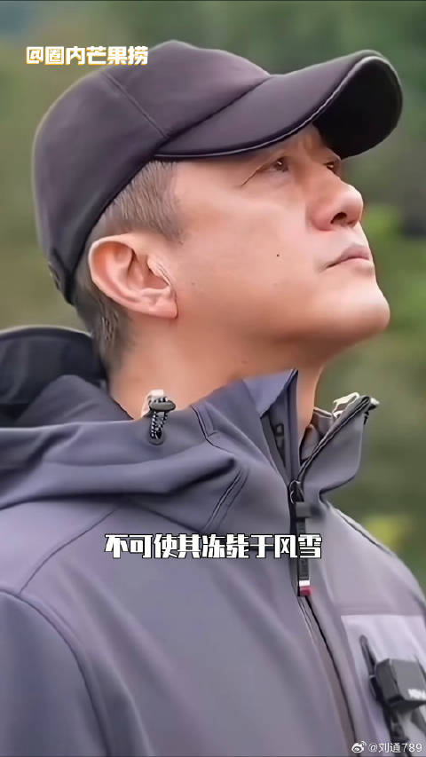 海哈金喜家庭聚会引发热议 体育明星谈婚姻观